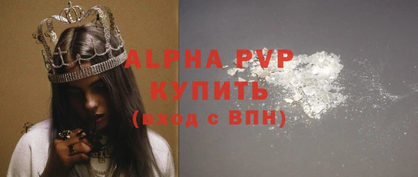 стафф Бородино