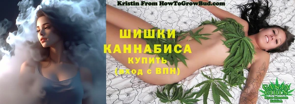 spice Бугульма