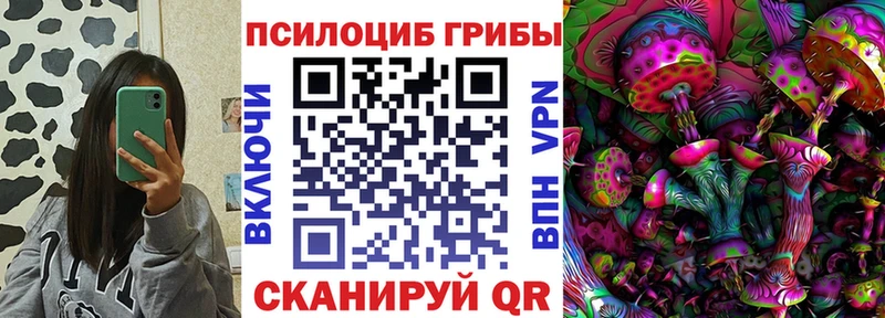 Галлюциногенные грибы MAGIC MUSHROOMS  где купить наркоту  Светлый 